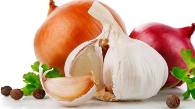 5 Thực phẩm nguy hiểm cho Chó mà Bạn cần biết