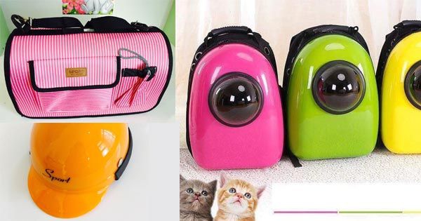 Bộ Sưu tập Phụ Kiện Chó Mèo - Đà Nẵng, Huế