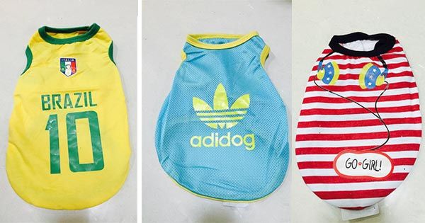 Bộ sưu tập Quần Áo Chó Mèo - Đà Nẵng, Huế