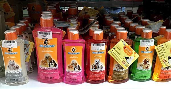 Dầu Sữa Tắm Chó Mèo - Chính hãng, Giá tốt tại Đà Nẵng, Huế