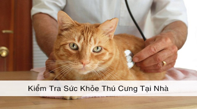 Cách Kiểm Tra Sức Khỏe Thú Cưng Tại Nhà ?