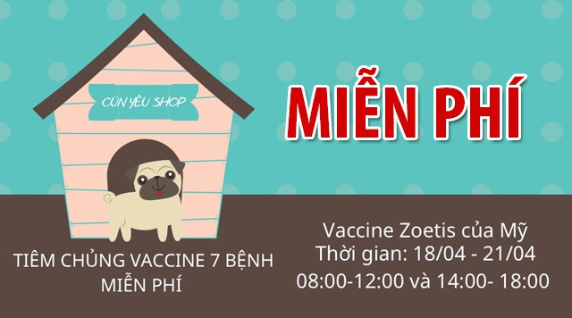 Miễn Phí - Tiêm Vắc Xin 7 bệnh cho Chó tại Cún Yêu Shop Đà Nẵng