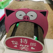 Nhà Mèo Cào Lợn Con 2 trong 1