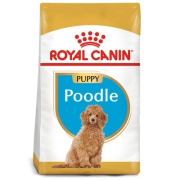 Thức Ăn Khô Cho Chó Poodle Con - Royal Canin Poodle  500g