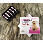 Ổng Nhỏ gáy đặc trị ve rận chó mèo Fronil Spot