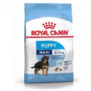 Thức Ăn Hạt Cho Chó Con Royal Canin Maxi Puppy Từ 2-15 Tháng Tuổi, 10kg
