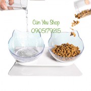 Tô đôi mèo trong suốt