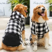 Áo Nón Caro cho các dòng chó cỡ lớn