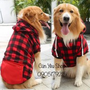 Áo Nón Caro cho các dòng chó cỡ lớn