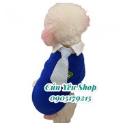 Cổ sơ mi cà vạt cho chó mèo