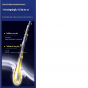 Dầu cá hồi cho chó mèo