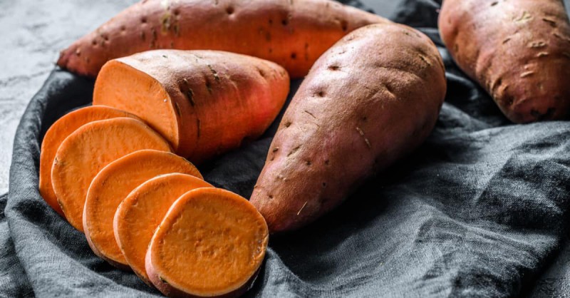 Thực phẩm cho chó khi bị tiêu chảy